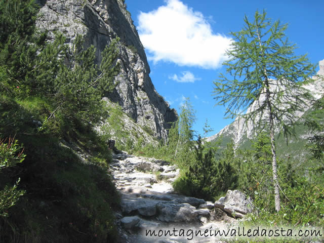 verso il rifugio comici